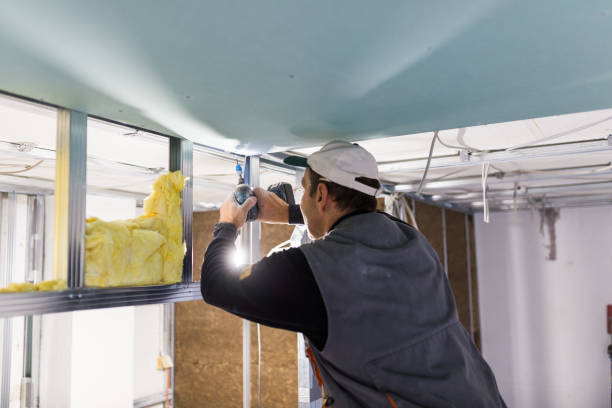 Best Insulation for New Construction  in Balcones Heights, TX